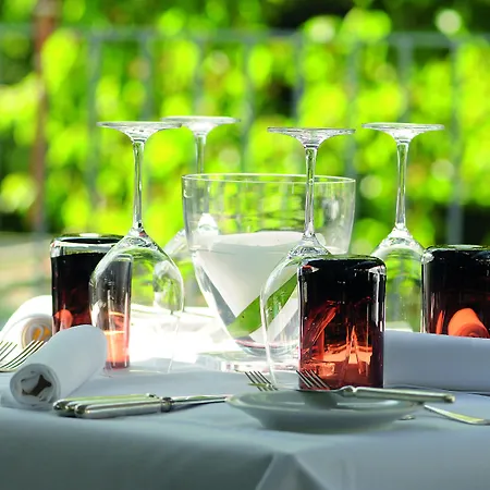 Favorite Parkhotel I - Business - Fine Dining 4* Μάιντς